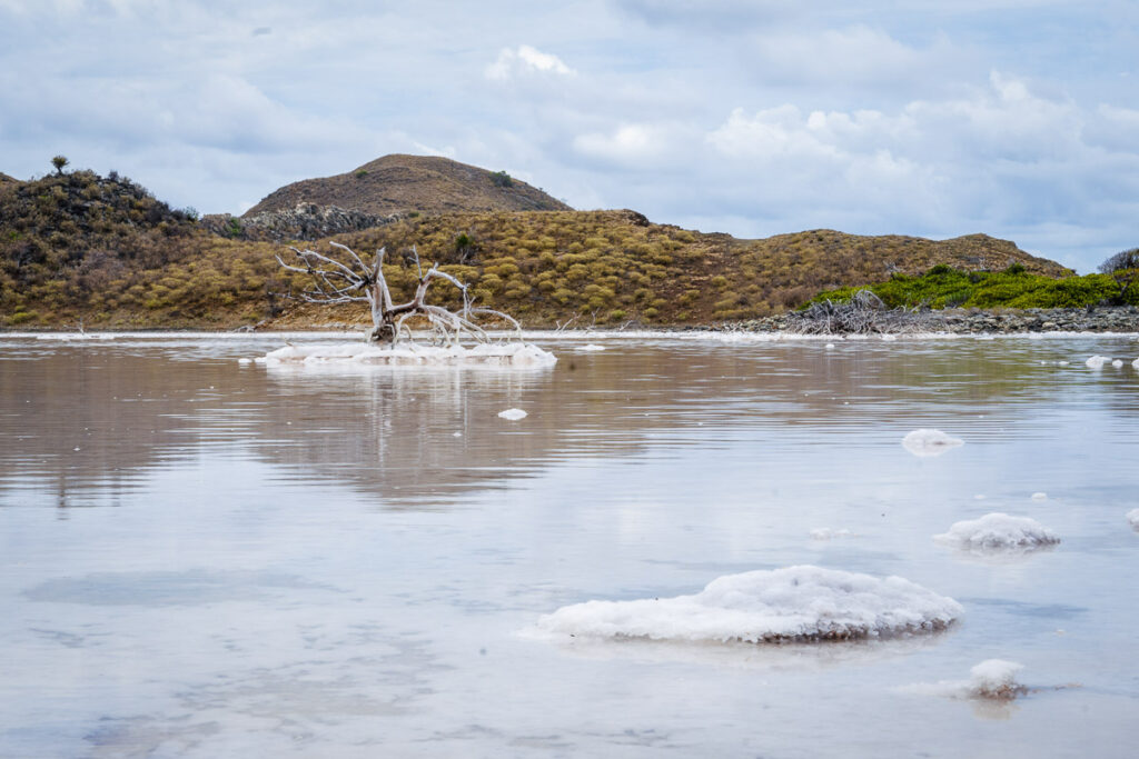 the crusty salt ponds on salt island