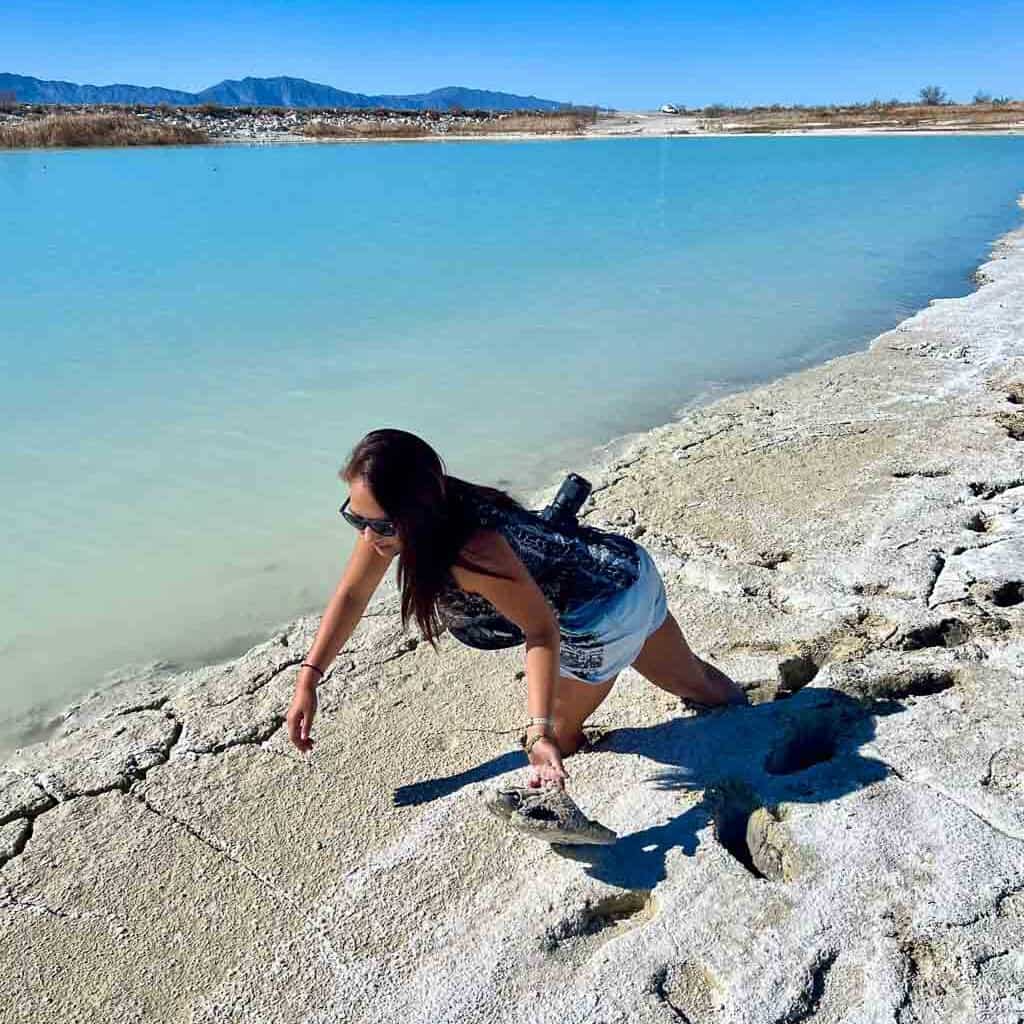 Stuck in Mud at Crystal Lake at Ash Meadows