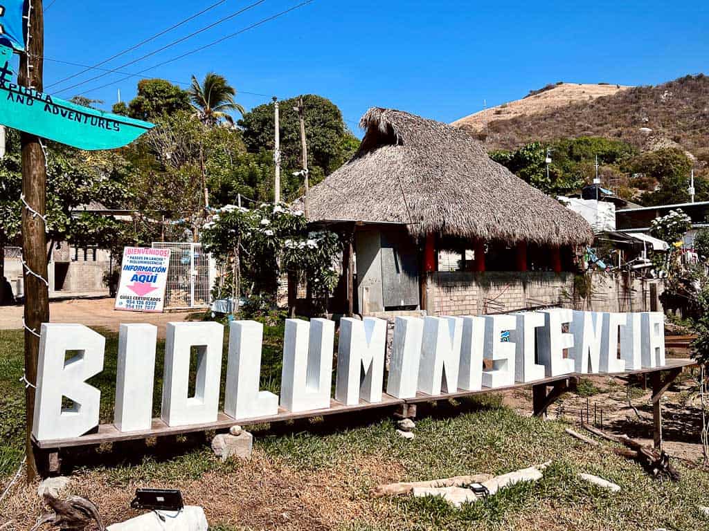 Bioluminescencia Signs in Laguna de Manialtepec lagoon