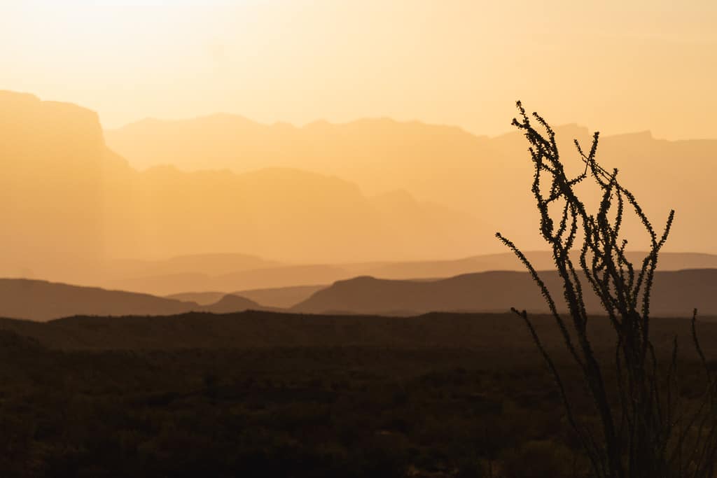 Big Bend National Park at Sunset near  boquillas del carmen border crossing