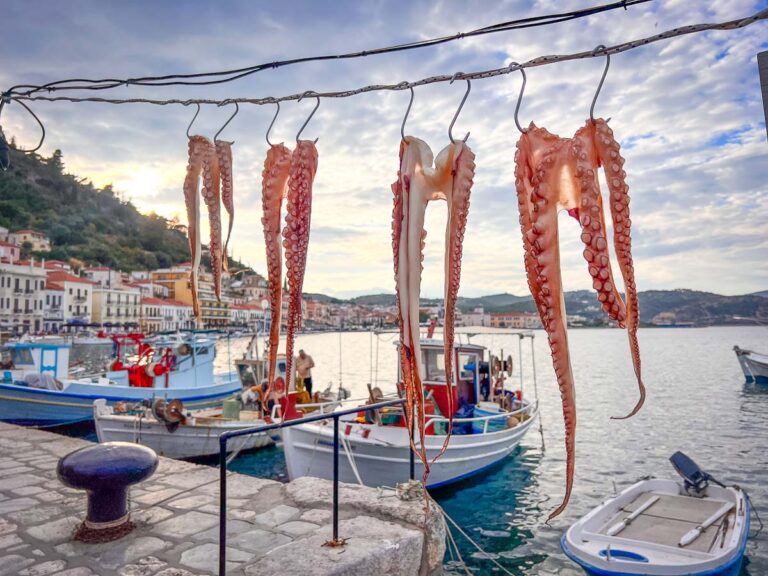 hanging octopus in pelopponese road trip, greece