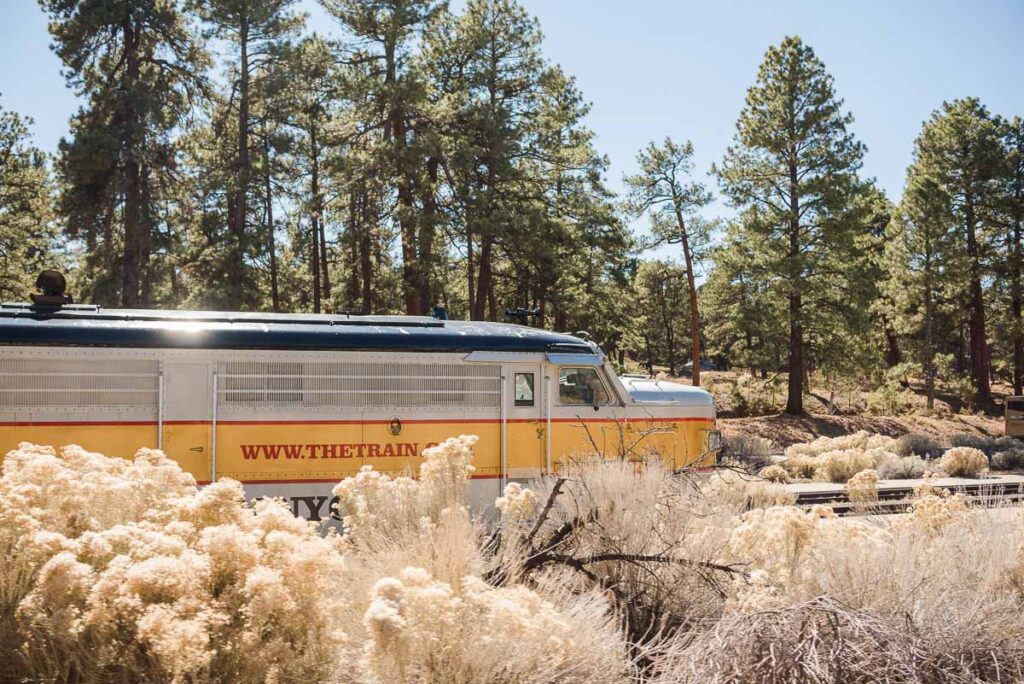 Train in Grand Canyon with website www.thetrain.com written on it