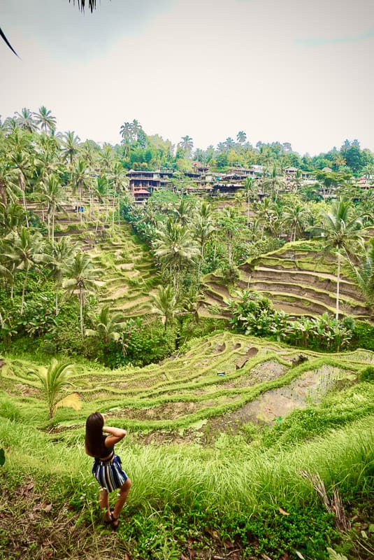 nomadicated standing in front of tegallang rice fields