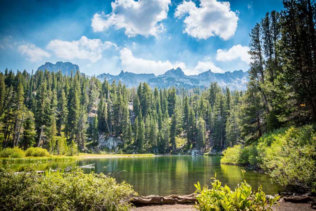 The reflection of the trees makes this lake in the Mammoth Lakes Basin appear green.