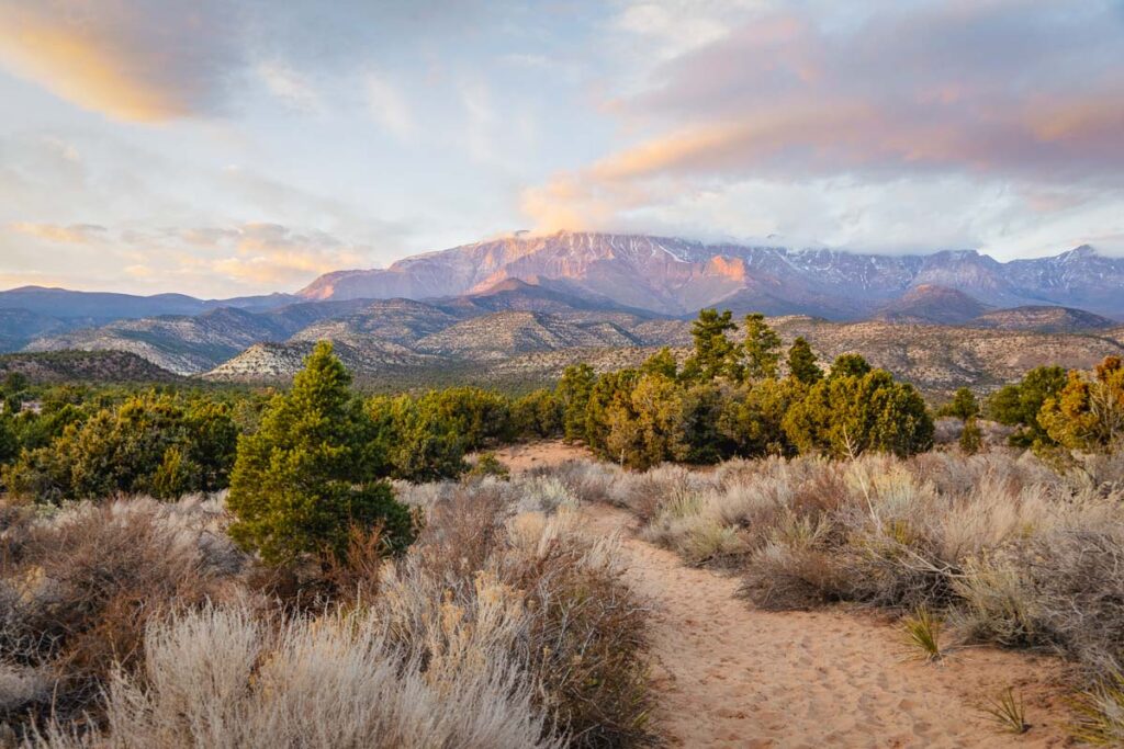 snow canyon state part an amazing place for hikes near kanab utah