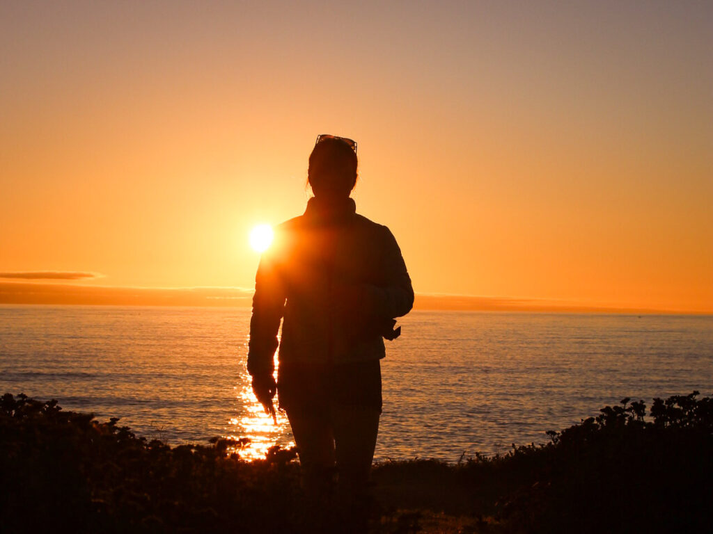 Silhouette of Nomadicated on Malibu beach