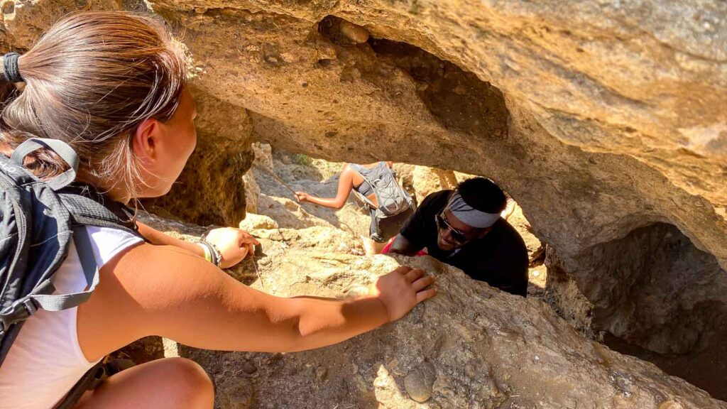 Los Angeles, Cat hiking small hole