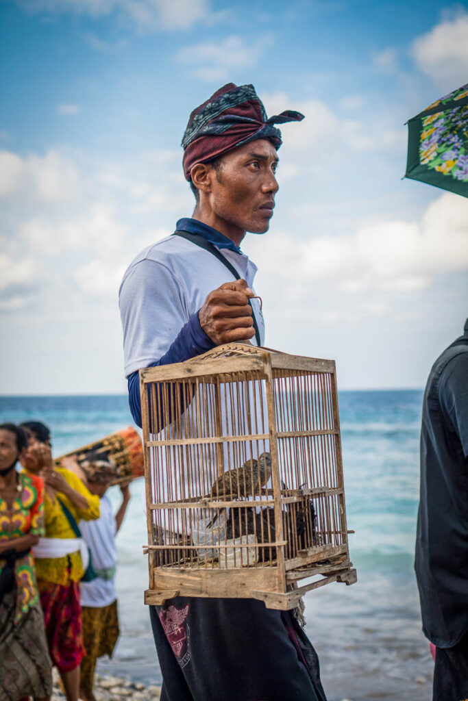 lucky bird to be released after the procession