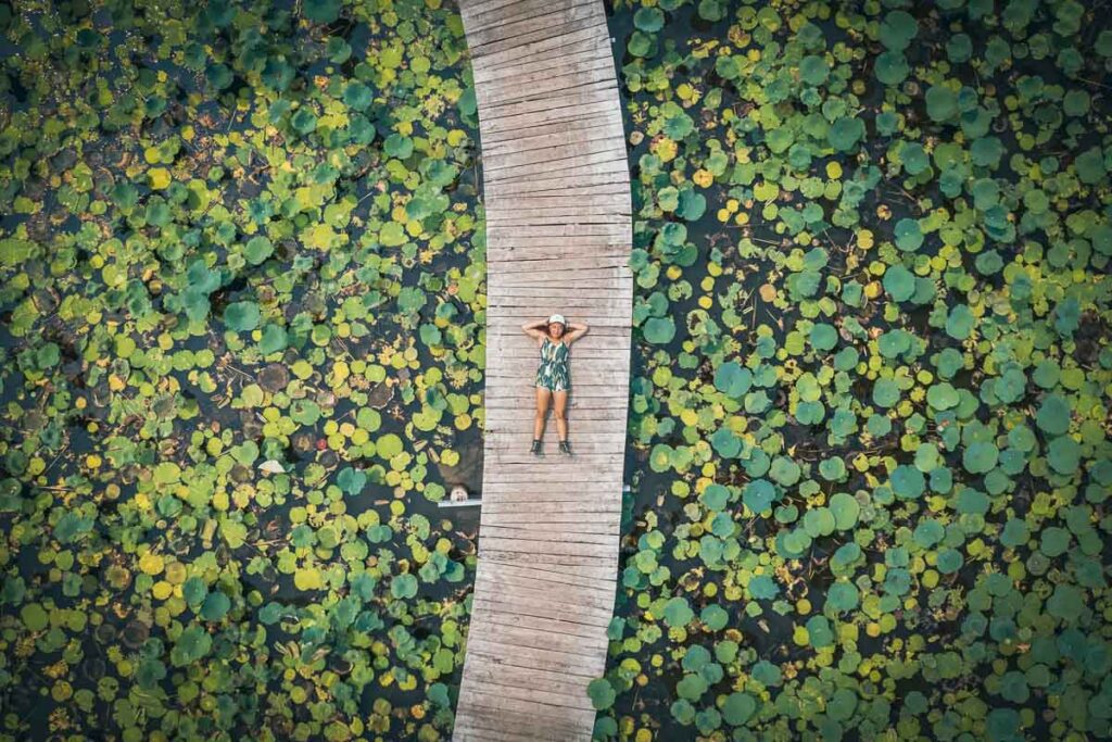 catherine xu laying on a boardwalk among lily pads