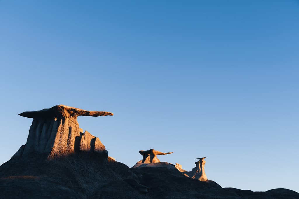 Bisti Wings in bisti badlands northern new mexico