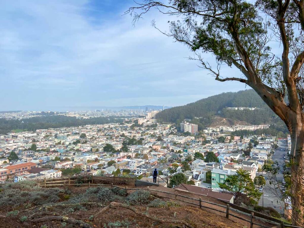 san francisco overlook of vity from nearby hill