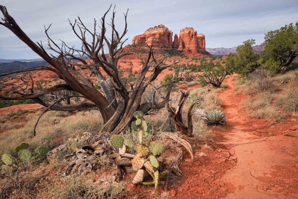 Hiline trail leads toward views of Cathedral Rock, Sedona, Arizona