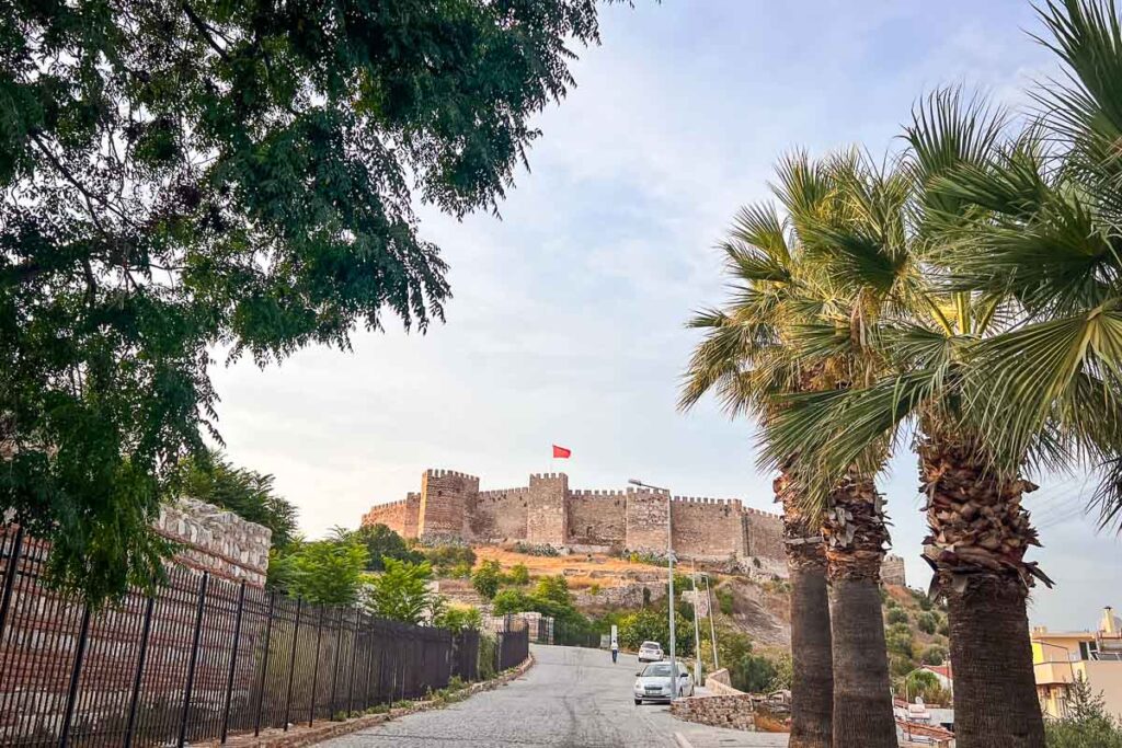 ayosuluk castle on the hill in sunset