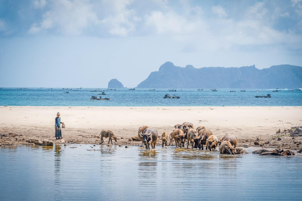 selong belanak, one of the best beaches in kuta lombok