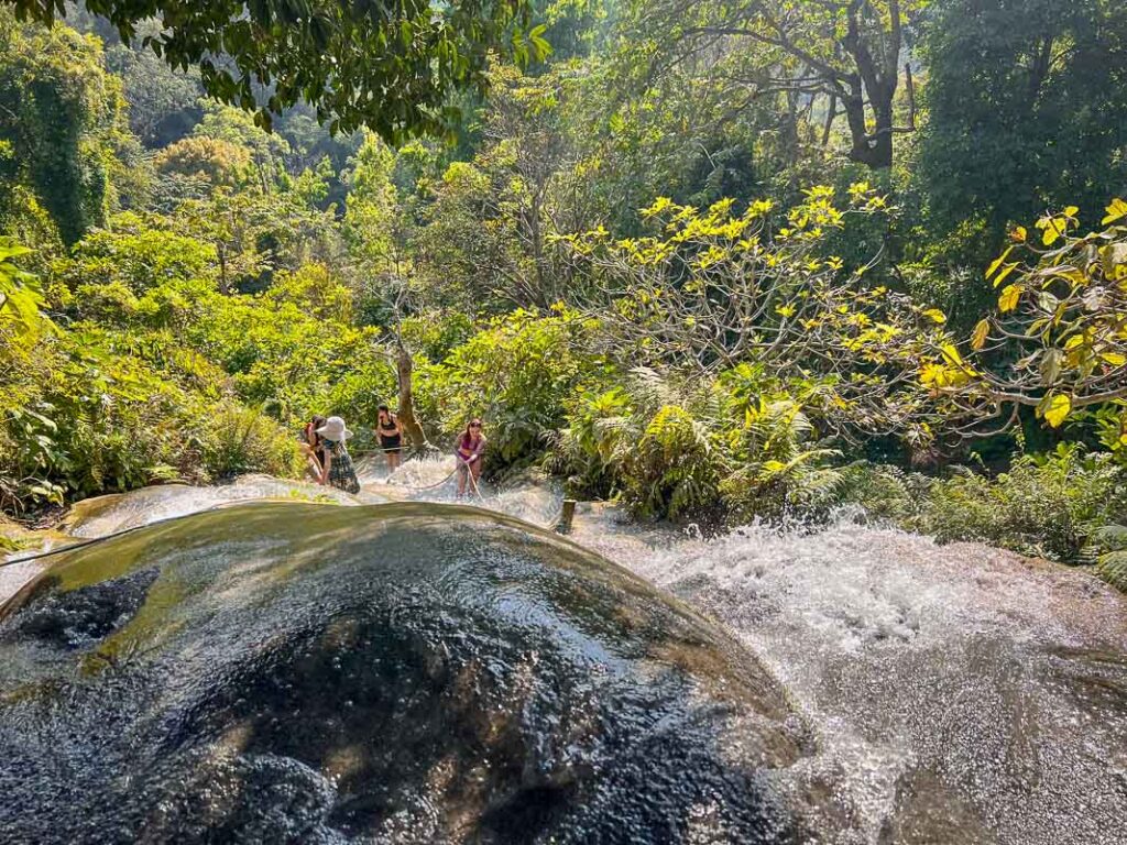 top of the bua tong sticky waterfalls