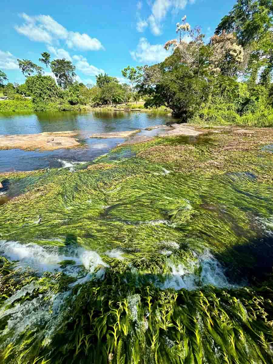 Tapawatra waterfall on the upper suriname river