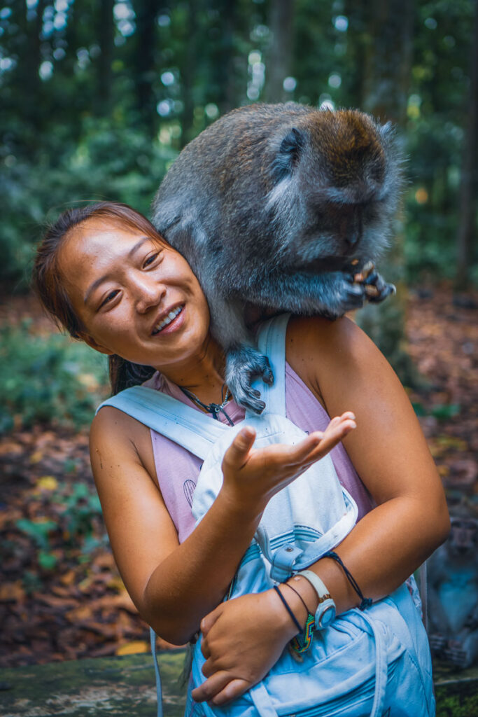 monkey chilling on nomadicated the monkey forest a must on a bali bucket list