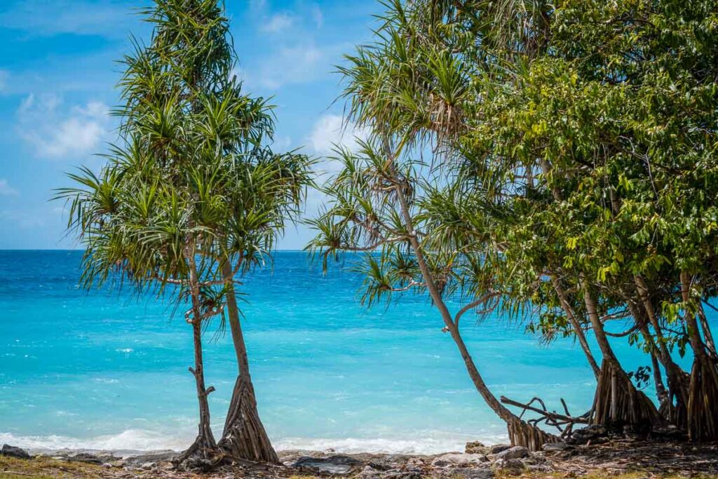 valu beach near jaco island