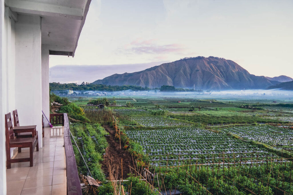 the view outside terasawah the best view hotel in lombok