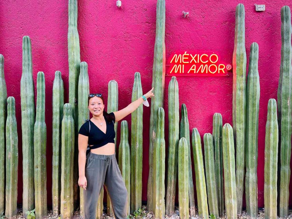 cool cactus backdrop saying mexico my love