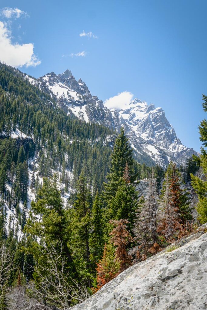 hiking up from jenny lake to hidden falls and cascade canyon trailhead