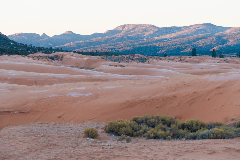 Pink Sunrise Hue at Corral Pink Sand Dunes State Park