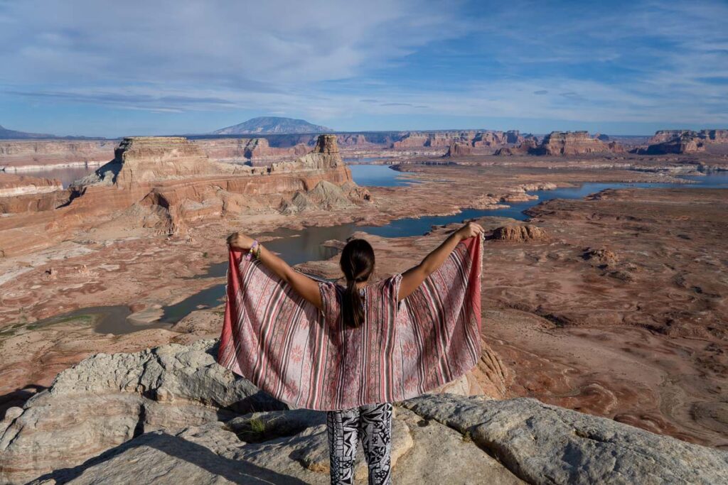 nomadicated with wings in front of alstrom point
