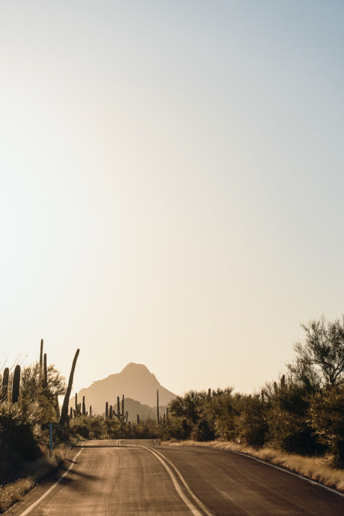 Bajada Look Drive at Sunrise in Saguaro National Park in Southern Arizona