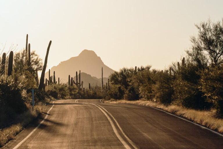 Bajada Look Drive at Sunrise in Saguaro National Park in Southern Arizona